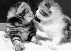 Name:  Ljlnbb2.gif
Hits: 297
Gre:  1,11 MB