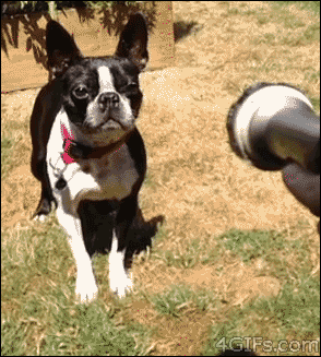 Name:  qfp66cX.gif
Hits: 254
Gre:  1,99 MB