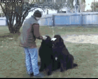 Name:  mE22Git.gif
Hits: 279
Gre:  1,86 MB