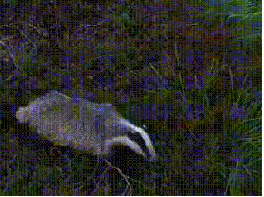 Name:  hp7vPaQ.gif
Hits: 303
Gr��e:  1,89 MB