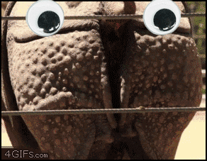 Name:  107297mtk5z.gif
Hits: 105
Gre:  1,98 MB