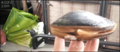 Name:  q5.gif
Hits: 127
Gre:  2,00 MB