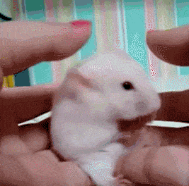 Name:  Download.gif
Hits: 145
Gre:  1,38 MB