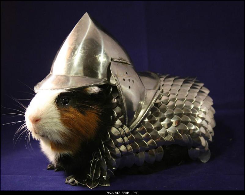 Klicken Sie auf die Grafik fr eine grere Ansicht 

Name:	sirmurdercute.jpg 
Hits:	149 
Gre:	88,0 KB 
ID:	15267