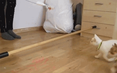 Name:  4139a47f00132050.gif
Hits: 288
Gre:  1,58 MB