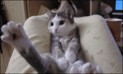Name:  eeb31bc79feb115b.gif
Hits: 282
Gre:  1,99 MB
