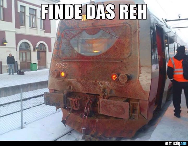 Name:  reh.jpg
Hits: 237
Gre:  82,8 KB