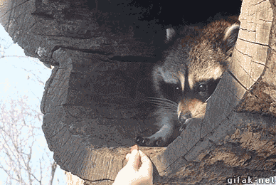 Name:  f8NWWMO.gif
Hits: 164
Gre:  1,99 MB