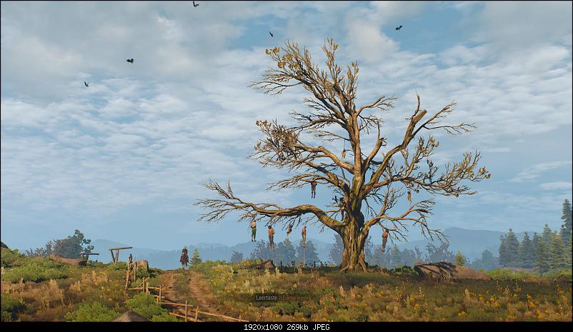 Klicken Sie auf die Grafik f�r eine gr��ere Ansicht&nbsp;

Name:	witcher3 2015-05-25 16-51-18-12.jpg&nbsp;
Hits:	545&nbsp;
Gr��e:	268,7 KB&nbsp;
ID:	16135