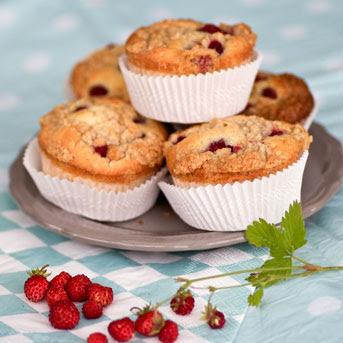 Name:  quadratische-muffins.jpg
Hits: 93
Gre:  33,8 KB