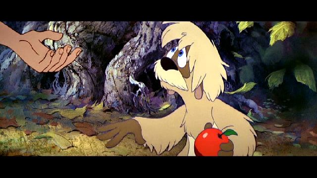 Name:  uploadfromtaptalk1448404652479.jpg
Hits: 58
Gr��e:  47,5 KB