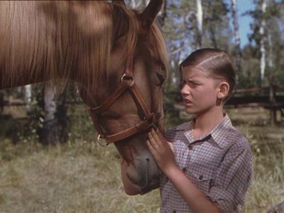 Name:  uploadfromtaptalk1450724514167.jpg
Hits: 50
Gr��e:  25,4 KB