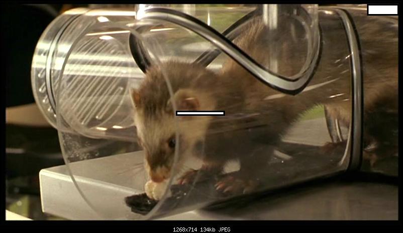 Klicken Sie auf die Grafik f�r eine gr��ere Ansicht&nbsp;

Name:	3977103849.jpg&nbsp;
Hits:	113&nbsp;
Gr��e:	133,9 KB&nbsp;
ID:	16775