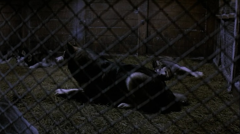 Name:  3454522101.jpg
Hits: 94
Gr��e:  78,8 KB