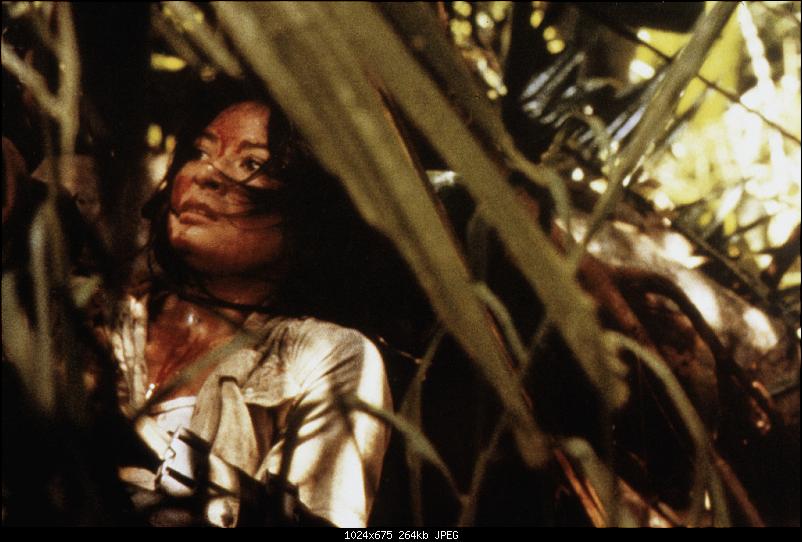 Klicken Sie auf die Grafik f�r eine gr��ere Ansicht&nbsp;

Name:	6495328901.jpg&nbsp;
Hits:	83&nbsp;
Gr��e:	264,3 KB&nbsp;
ID:	16967