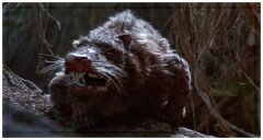 Name:  uploadfromtaptalk1457269211852.jpg
Hits: 74
Gr��e:  8,8 KB