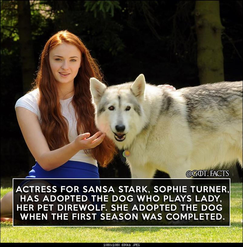 Klicken Sie auf die Grafik fr eine grere Ansicht 

Name:	pB54wPJ.jpg 
Hits:	98 
Gre:	690,0 KB 
ID:	17305