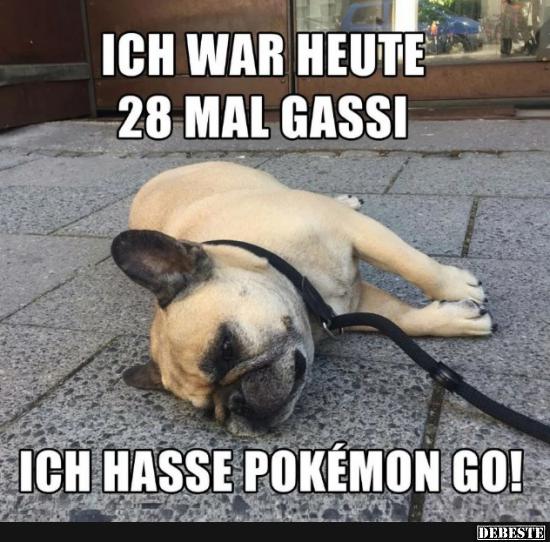 Name:  poke1.jpg
Hits: 253
Gre:  60,0 KB