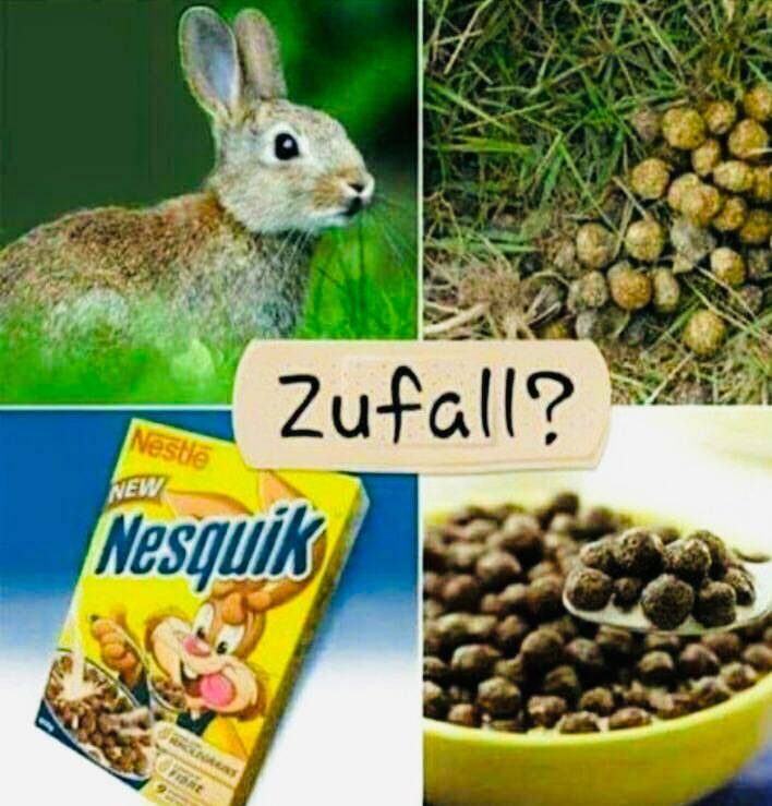 Name:  zufall01.jpg
Hits: 1406
Gre:  72,6 KB