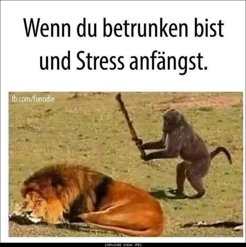 Klicken Sie auf die Grafik fr eine grere Ansicht 

Name:	IMG-20191203-WA0006.jpg 
Hits:	194 
Gre:	101,0 KB 
ID:	17921