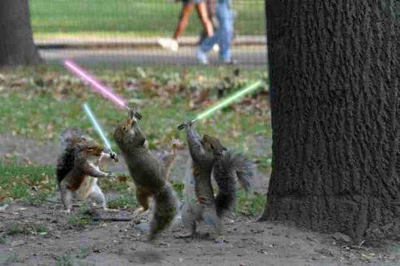 Name:  squirrels-lightsabers.jpg
Hits: 66
Gre:  115,3 KB