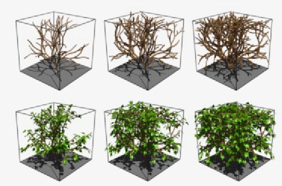 Name:  boxplant.jpg
Hits: 1459
Gre:  85,7 KB