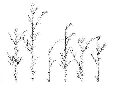 Name:  stochastic_plant.jpg
Hits: 1214
Gre:  32,9 KB