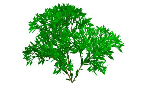 Name:  3dplant.jpg
Hits: 1681
Gre:  55,3 KB