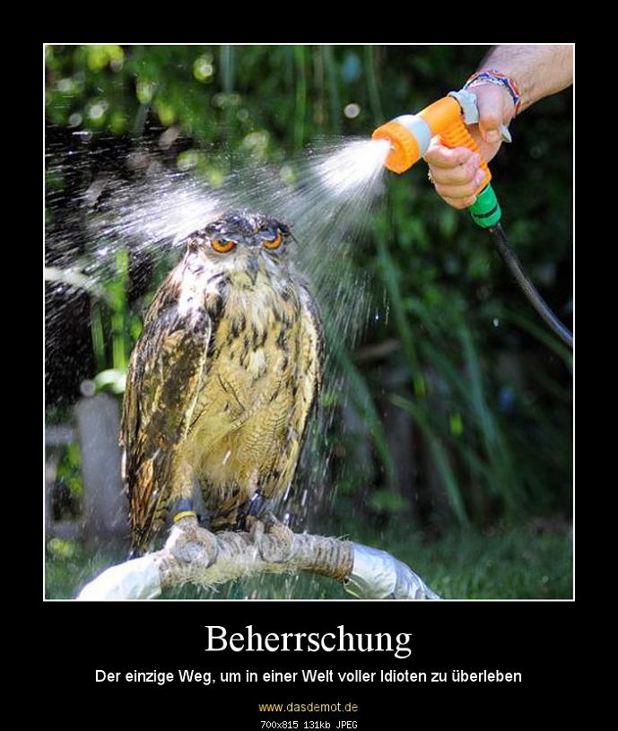 Klicken Sie auf die Grafik fr eine grere Ansicht 

Name:	Beherrschung.jpg 
Hits:	127 
Gre:	131,3 KB 
ID:	5158