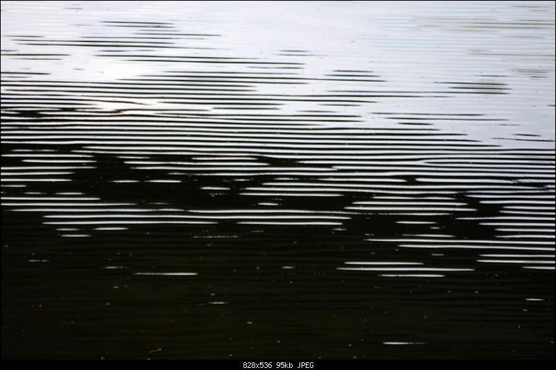 Klicken Sie auf die Grafik f�r eine gr��ere Ansicht&nbsp;

Name:	Bild9.jpeg&nbsp;
Hits:	291&nbsp;
Gr��e:	94,8 KB&nbsp;
ID:	607
