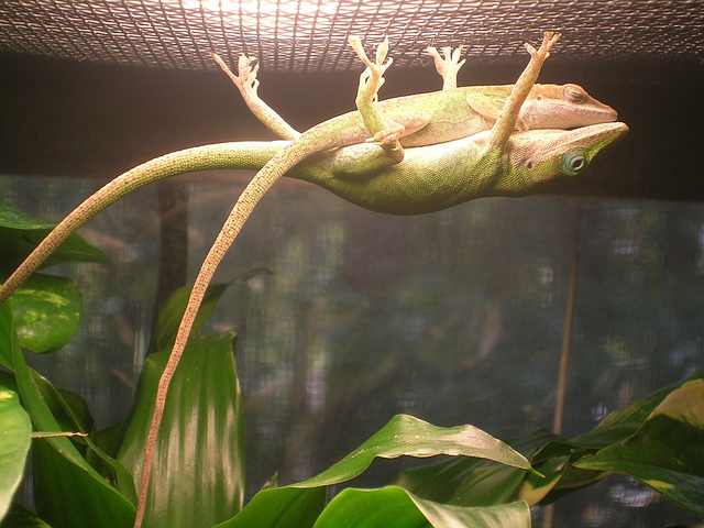 Name:  SILCp.jpg
Hits: 145
Gre:  29,5 KB