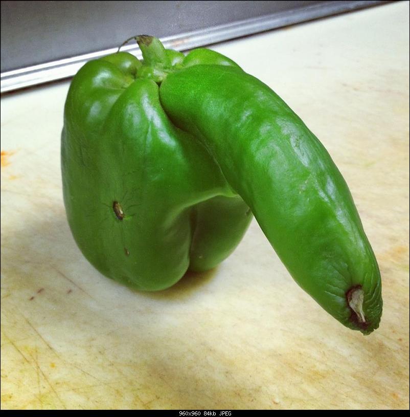 Klicken Sie auf die Grafik fr eine grere Ansicht 

Name:	paprika.jpg 
Hits:	99 
Gre:	84,2 KB 
ID:	6387