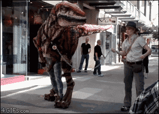 Name:  4213_10d5.gif
Hits: 55
Gre:  1.013,4 KB