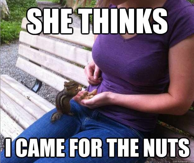 Name:  nuts.jpg
Hits: 54
Gre:  115,9 KB