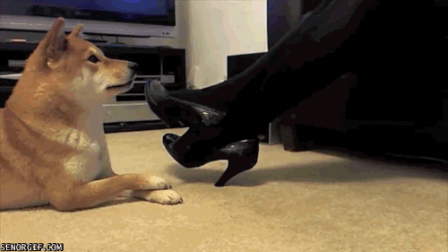 Name:  iZu3ltmZGku5PLgyV85Peg2.gif
Hits: 64
Gre:  839,3 KB