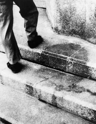 Name:  Bild Treppe.jpg
Hits: 2422
Gre:  28,4 KB