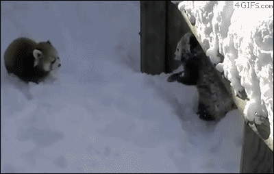 Name:  tumblr_m1zax8XOw51qdlh1io1_400.gif
Hits: 105
Gre:  1.023,5 KB