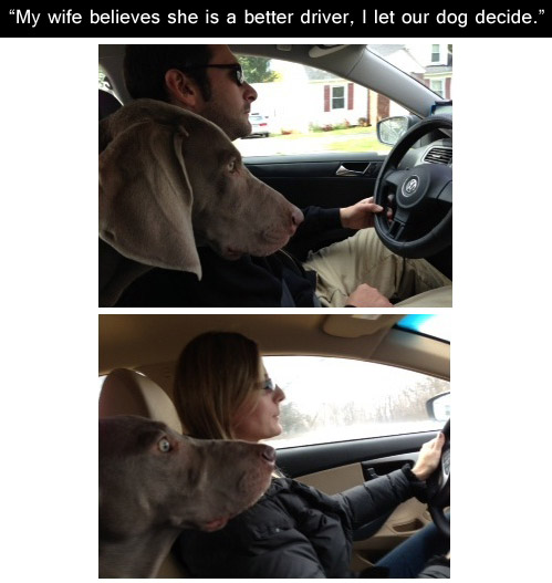 Name:  tumblr_mevsc6rkHR1qewacoo1_500.jpg
Hits: 58
Gre:  80,3 KB