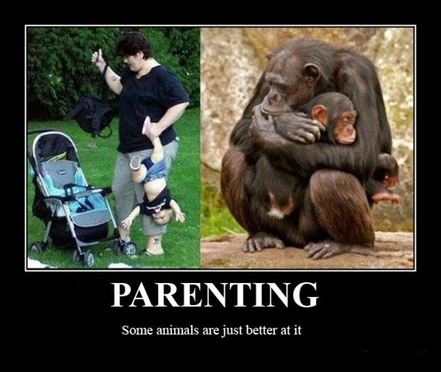 Name:  parenting-demotivational-posters.jpg
Hits: 63
Gre:  47,4 KB