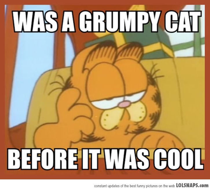 Name:  TheOriginalGrumpyCat-42149.jpg
Hits: 63
Gre:  60,7 KB
