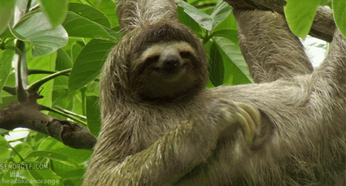 Name:  gubbelcares.gif
Hits: 72
Gre:  690,4 KB