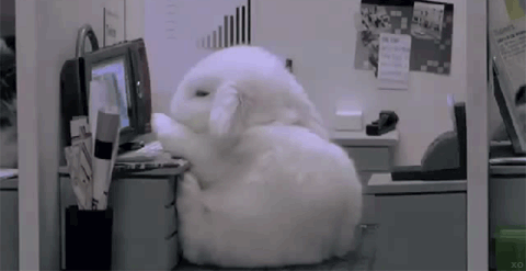 Name:  fnsdxAz.gif
Hits: 63
Gre:  1.010,2 KB