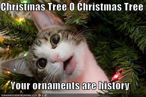 Name:  christmas tree oh christmas tree.jpg
Hits: 45
Gre:  79,9 KB