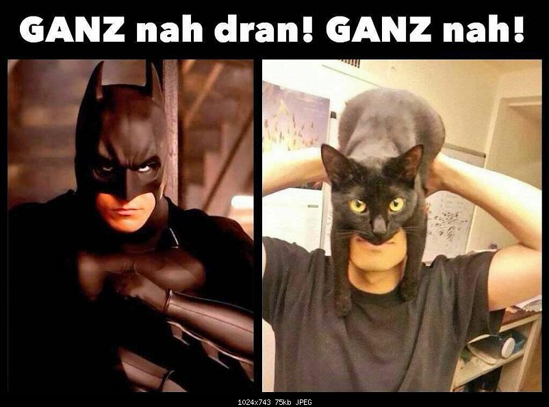 Klicken Sie auf die Grafik fr eine grere Ansicht 

Name:	batman.jpg 
Hits:	127 
Gre:	75,0 KB 
ID:	17742