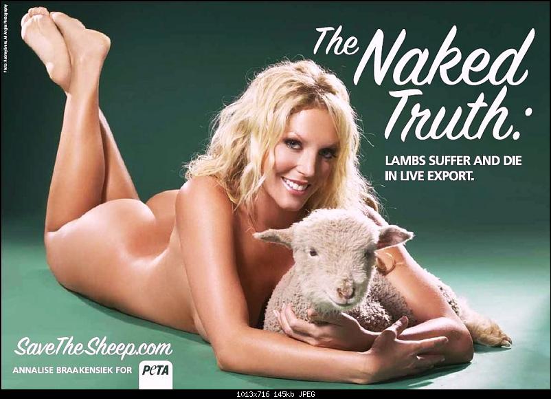 Klicken Sie auf die Grafik fr eine grere Ansicht 

Name:	naked+truth+ad+save+the+sheep+peta.jpg 
Hits:	216 
Gre:	144,8 KB 
ID:	3590